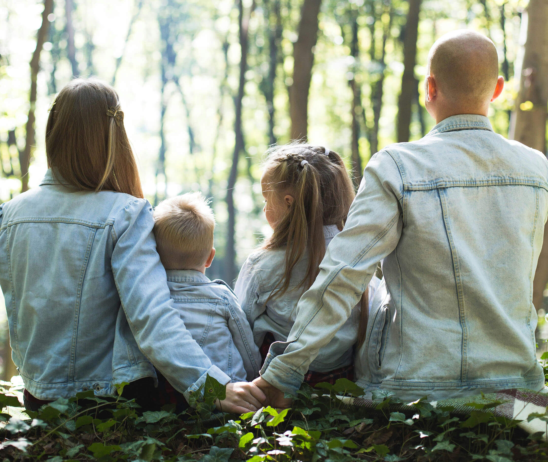 Family Law: What You Need to Know About Divorce, Alimony and Children's Rights